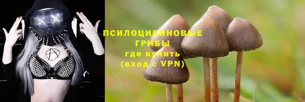 2c-b Козловка