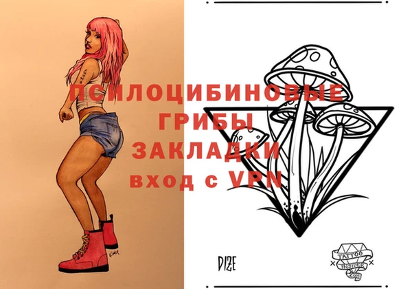 меф Кинешма