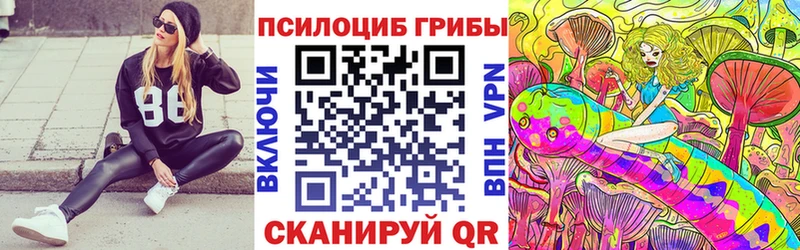Галлюциногенные грибы Psilocybine cubensis  Южно-Сухокумск 